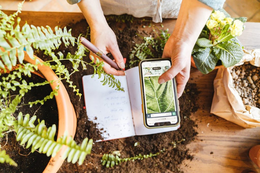 a-person-doing-a-research-about-plants-7342610 Hands documenting plant growth indoors with phone and notebook.