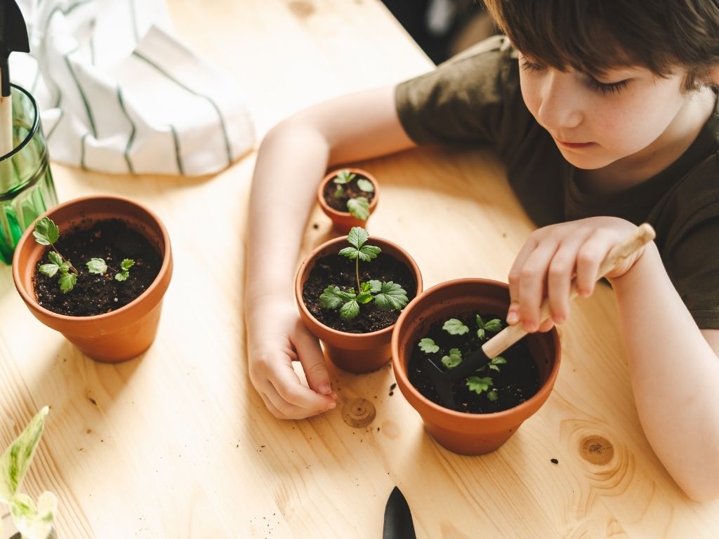 kid-with-plants a kid with plants