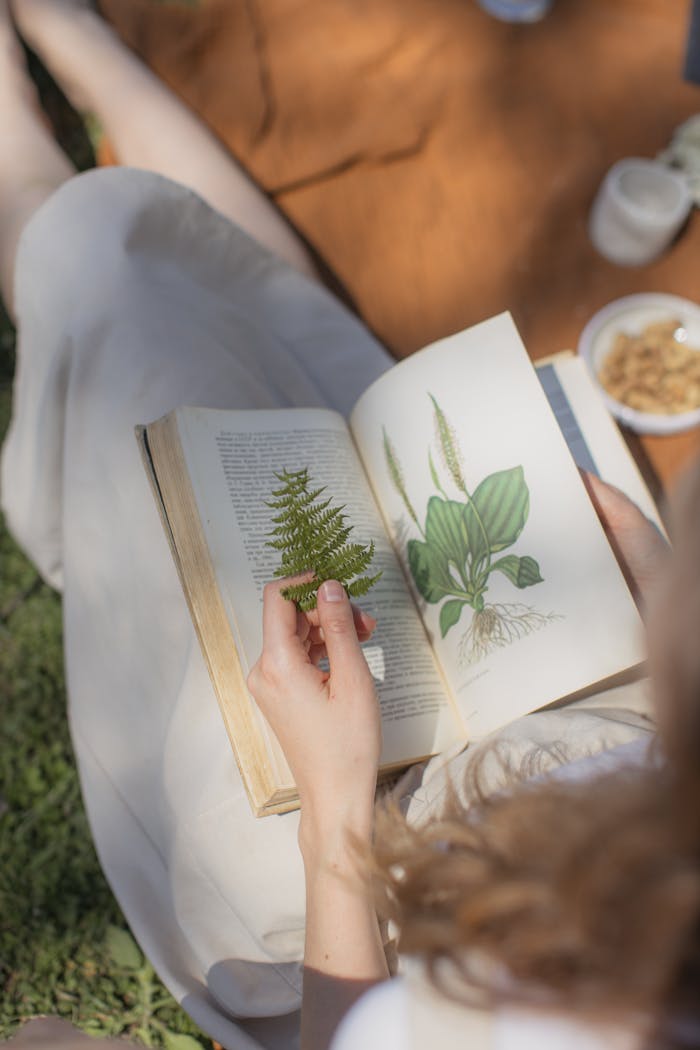 Person reading a botanical book outdoors with opened pages featuring plant illustrations.